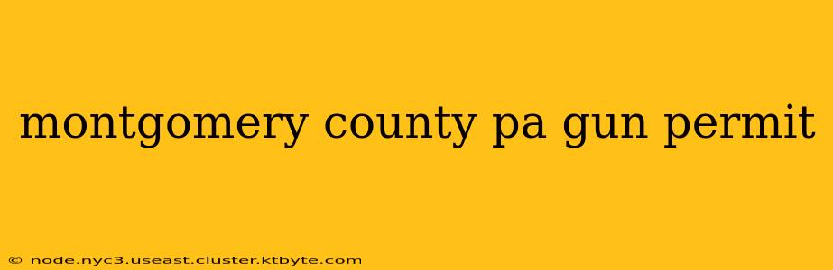 montgomery county pa gun permit