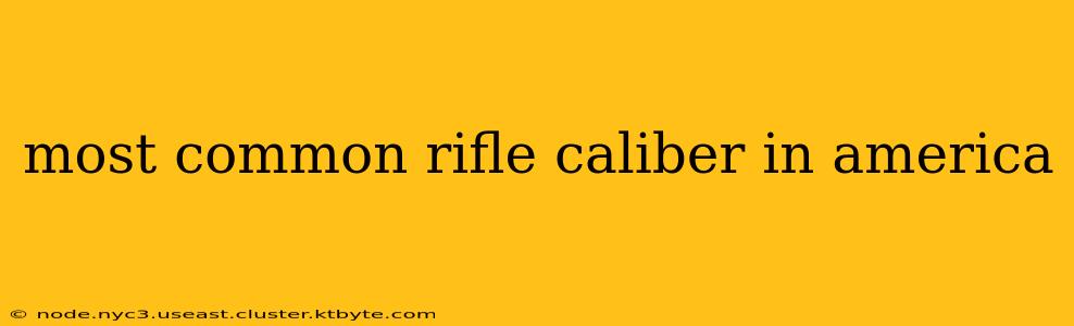 most common rifle caliber in america