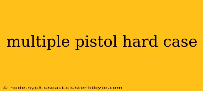 multiple pistol hard case