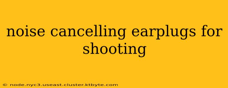 noise cancelling earplugs for shooting