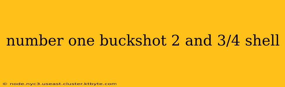 number one buckshot 2 and 3/4 shell