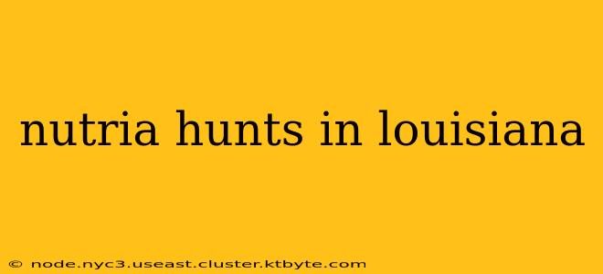 nutria hunts in louisiana