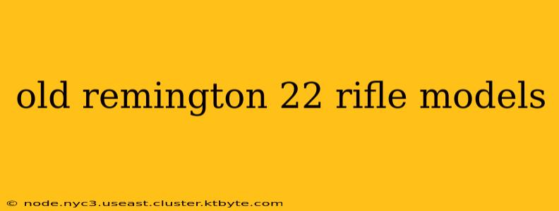 old remington 22 rifle models