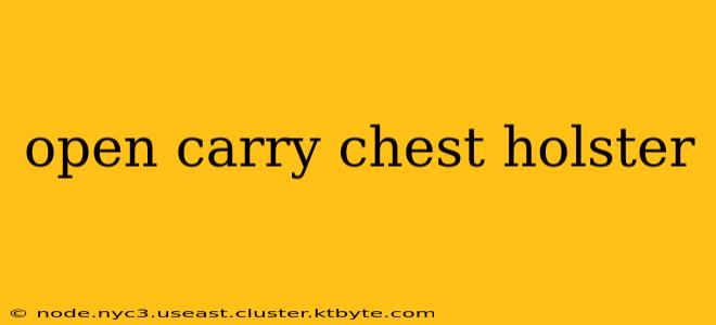 open carry chest holster