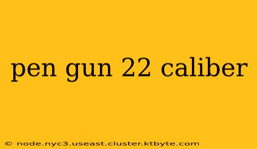 pen gun 22 caliber