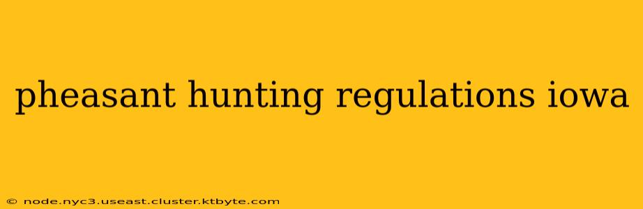 pheasant hunting regulations iowa