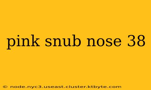 pink snub nose 38