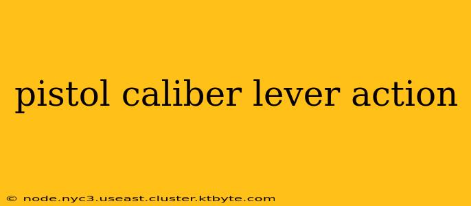 pistol caliber lever action