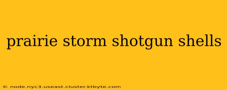 prairie storm shotgun shells