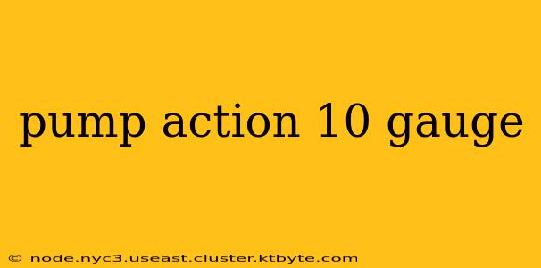 pump action 10 gauge