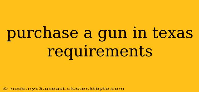 purchase a gun in texas requirements