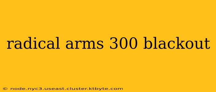 radical arms 300 blackout