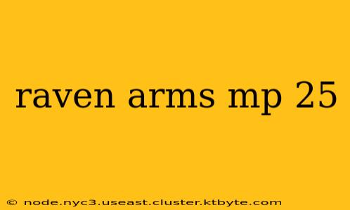 raven arms mp 25