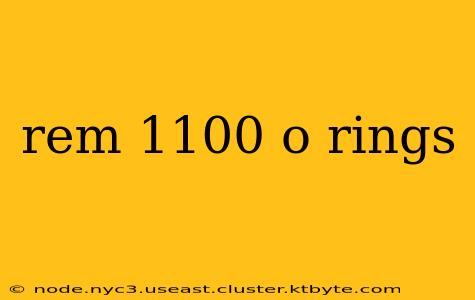 rem 1100 o rings