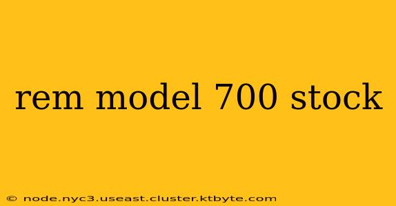 rem model 700 stock