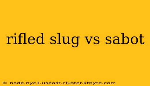 rifled slug vs sabot