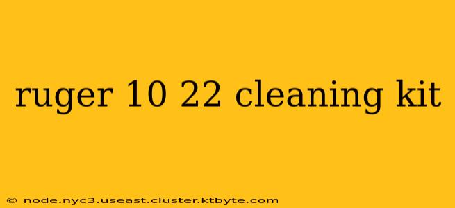 ruger 10 22 cleaning kit