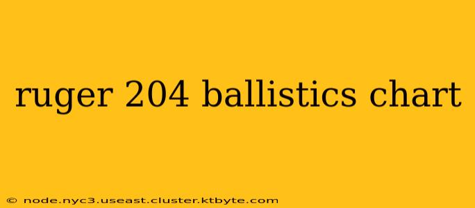 ruger 204 ballistics chart