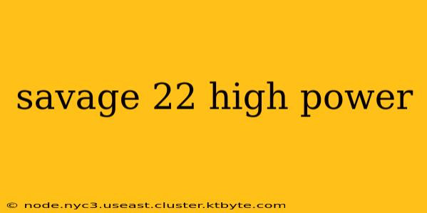 savage 22 high power