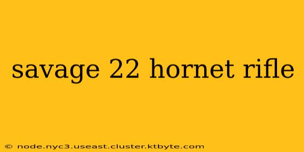 savage 22 hornet rifle