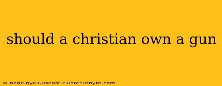 should a christian own a gun