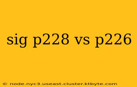 sig p228 vs p226