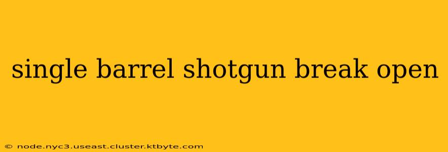 single barrel shotgun break open