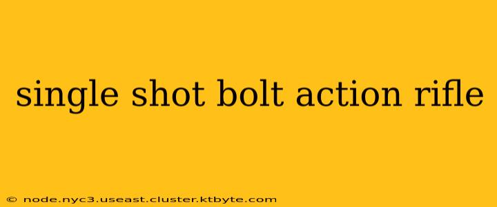 single shot bolt action rifle