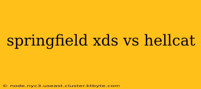 springfield xds vs hellcat