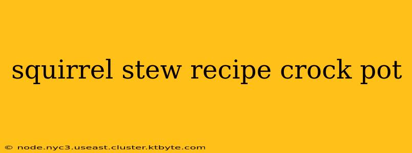 squirrel stew recipe crock pot