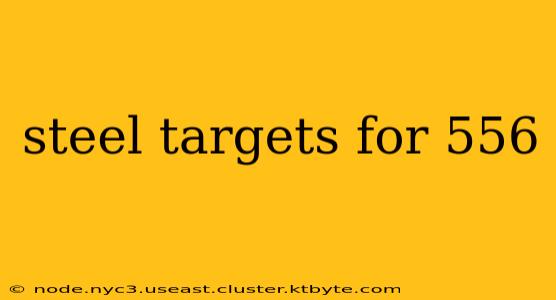 steel targets for 556