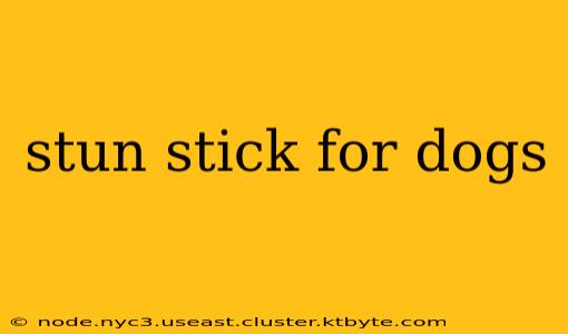 stun stick for dogs