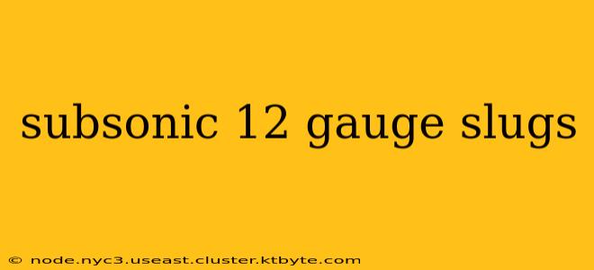 subsonic 12 gauge slugs