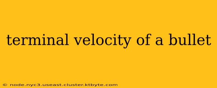 terminal velocity of a bullet