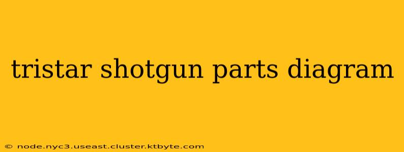 tristar shotgun parts diagram