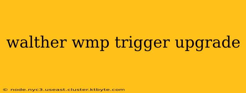 walther wmp trigger upgrade