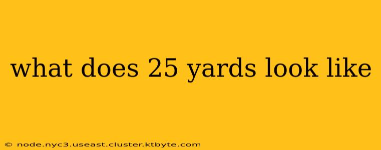 what does 25 yards look like