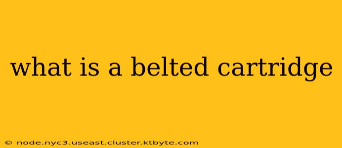 what is a belted cartridge