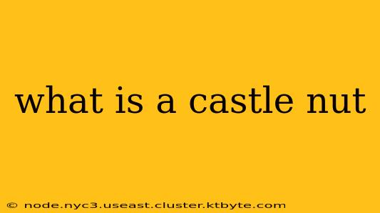 what is a castle nut