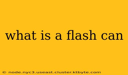 what is a flash can