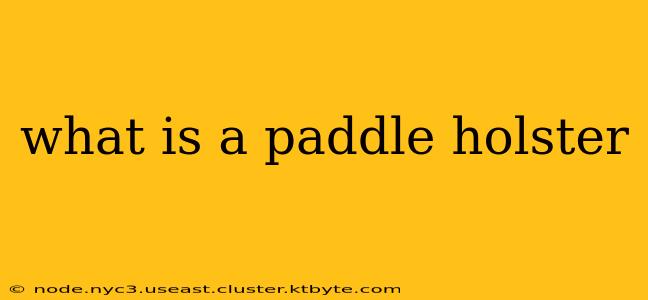 what is a paddle holster