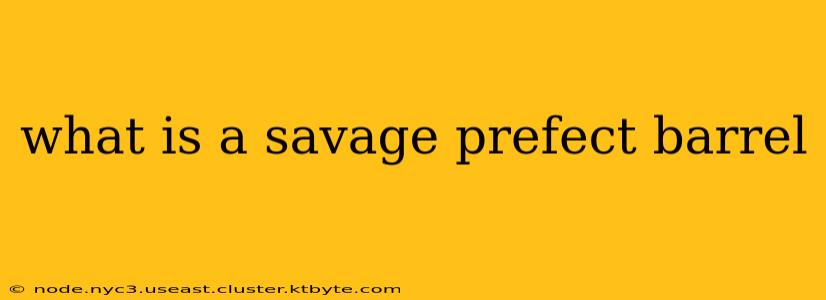 what is a savage prefect barrel