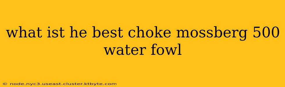 what ist he best choke mossberg 500 water fowl