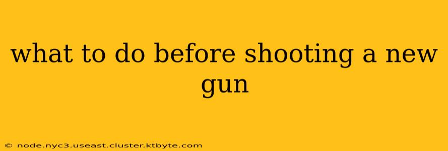 what to do before shooting a new gun