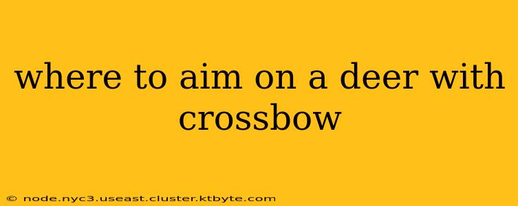 where to aim on a deer with crossbow