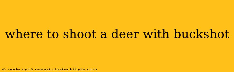 where to shoot a deer with buckshot