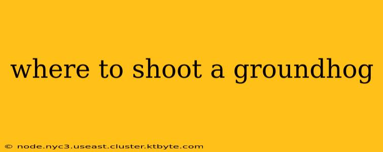 where to shoot a groundhog