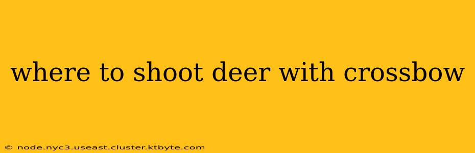 where to shoot deer with crossbow