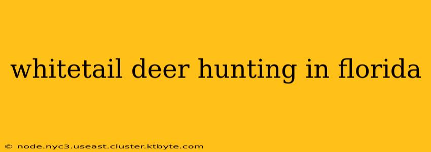 whitetail deer hunting in florida