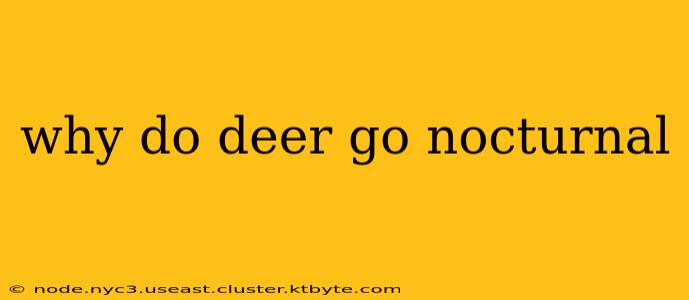 why do deer go nocturnal